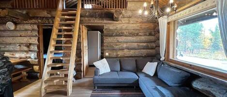 TV, caminetto, monitor per computer