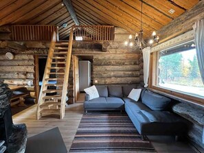 Televisio, takka, tietokoneen näyttö