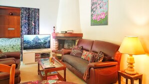 A living room with a sofa, armchair, coffee table, TV, fireplace, and decorative pillows. - Nature, spacious, fenced, well equipped, Loire castles, ideal for families (Selles-sur-Cher)