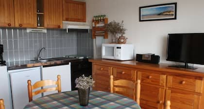 1-bedroom apartment near the beach, pets allowed