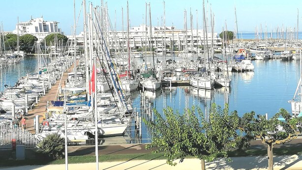 A marina with numerous boats docked, a pedestrian walkway, and a building in the background.
