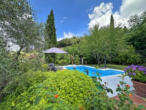 Outdoor pool - Villa Camilla 10P by VILLASRETREATS, W/Pool, A/C, Speed Wifi, near 5 Terre (Sarzana)