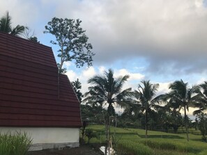 Ein Gebäude mit rotem Dach und weißen Wänden, umgeben von Palmen und einer grünen Landschaft.
