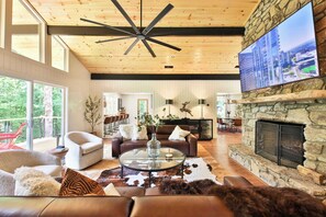 Télévision, cheminée, livres, espaces bureaux