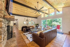 TV, fireplace, books, offices