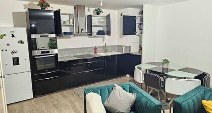 Nice business apartment Paris