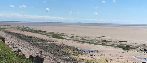 A coastal landscape with a rocky shoreline, a flat sandy area, and sparse vegetation.