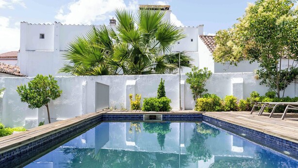 Una piscina cristalina con cubierta de madera, rodeada de muros blancos y follaje, incluyendo palmeras y arbustos.