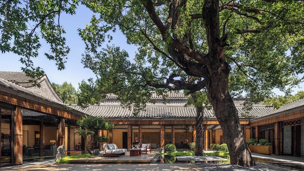 Un patio tradicional con un árbol grande, techo de tejas y un estanque que refleja el entorno.