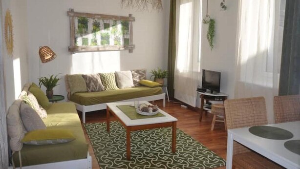 Un salon avec un canapé, une table basse, un téléviseur et des plantes.