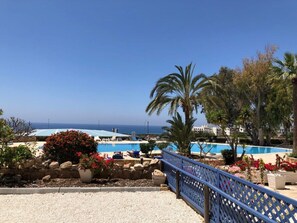 Ett poolområde med utsikt över havet, omgivet av palmer och en stenmur.