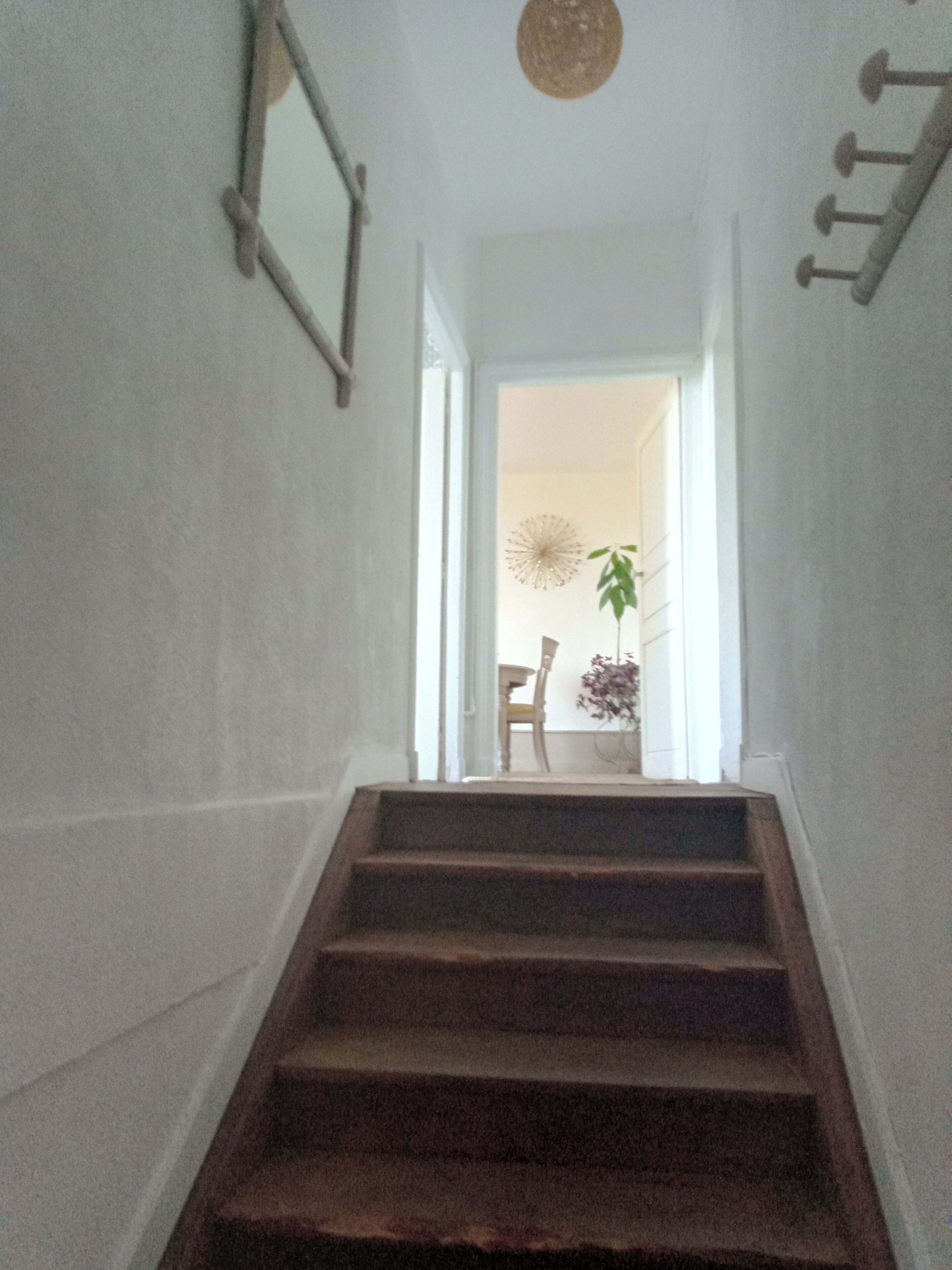 A staircase leading to a room with a chair and a plant.