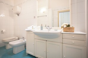 Shower, hair dryer, bidet, towels