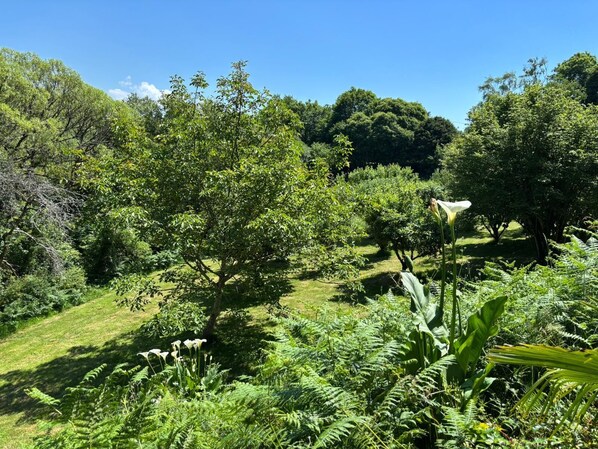 A lush garden with various trees and ferns, a clear blue sky, and a well-maintained lawn. - Le Jardin Saint Germain Lodges & Events (Plogastel-Saint-Germain)