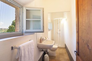 Shower, hair dryer, bidet, towels