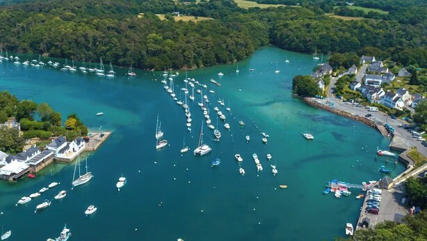 Una marina costera con numerosos barcos amarrados, rodeada de exuberante vegetación y edificios residenciales.