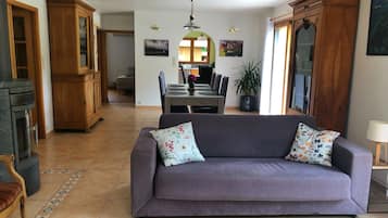 TV, fireplace, books