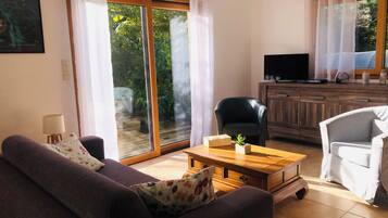 TV, fireplace, books