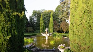 A formal garden with a central fountain, trimmed hedges, and a pond. - Château Bagen (SAUVETERRE DE COMMINGES)
