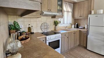 Fridge, oven, stovetop, electric kettle