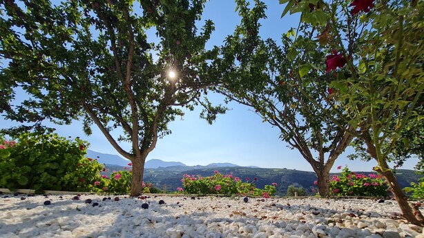 A garden with white pebbles, trees, and pink flowers. - Ornament:Infinite Nature Villa
Feel Nature, Enjoy Serenity, Live THE Experience! (Heraklion)