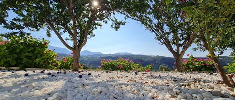 المنطقة المحيطة بالمنشأة