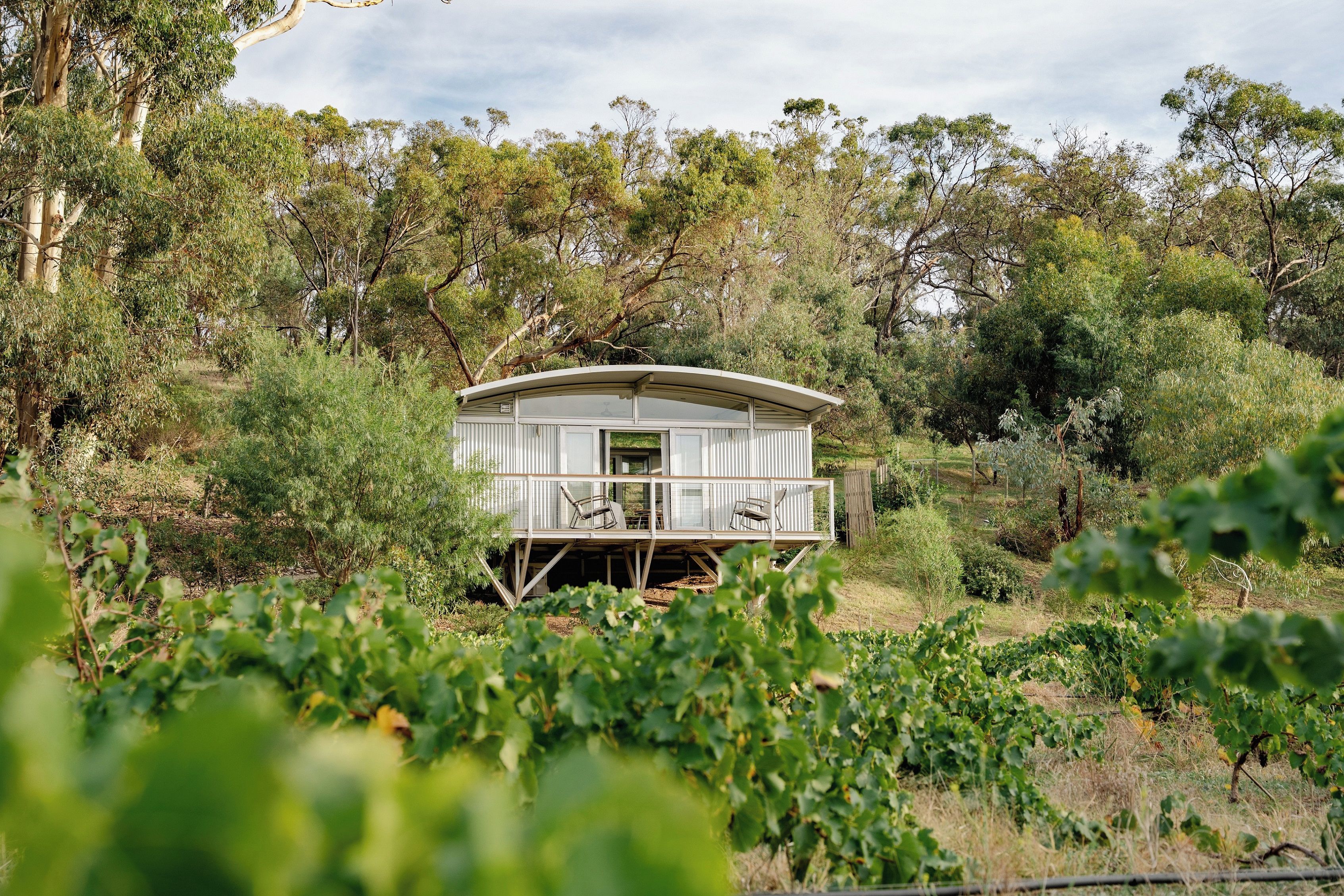A single-story house with a balcony, surrounded by dense vegetation and trees.