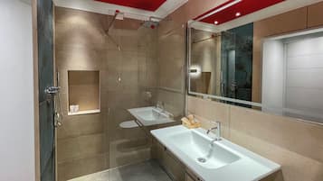 Shower, hair dryer, bidet, towels