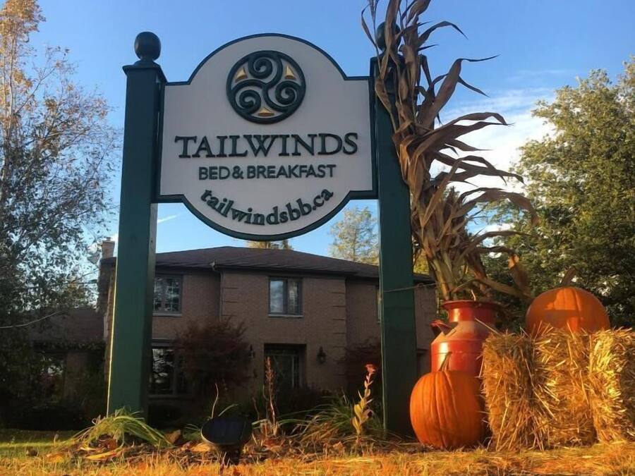 A sign for Tailwinds Bed & Breakfast with a rustic outdoor setting including a large pumpkin and decorative plants.