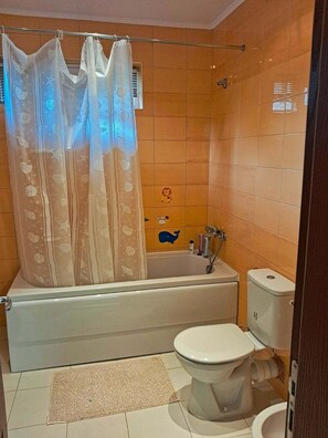 Shower, bidet, towels, soap