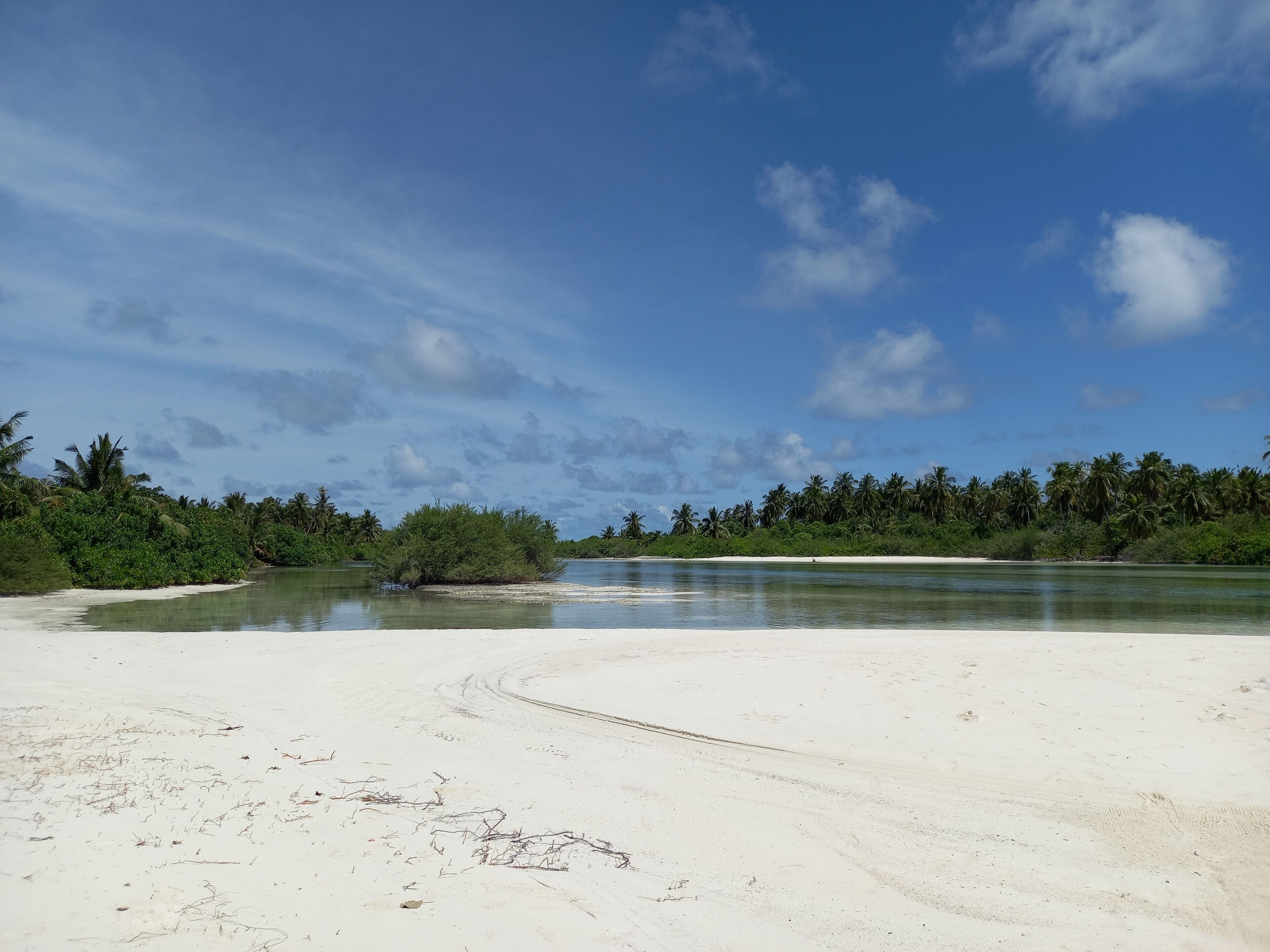 Una playa con agua cristalina, orilla arenosa y abundante vegetación.