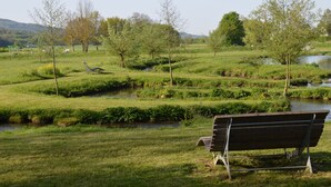 A park with a bench, a small stream, and trees.