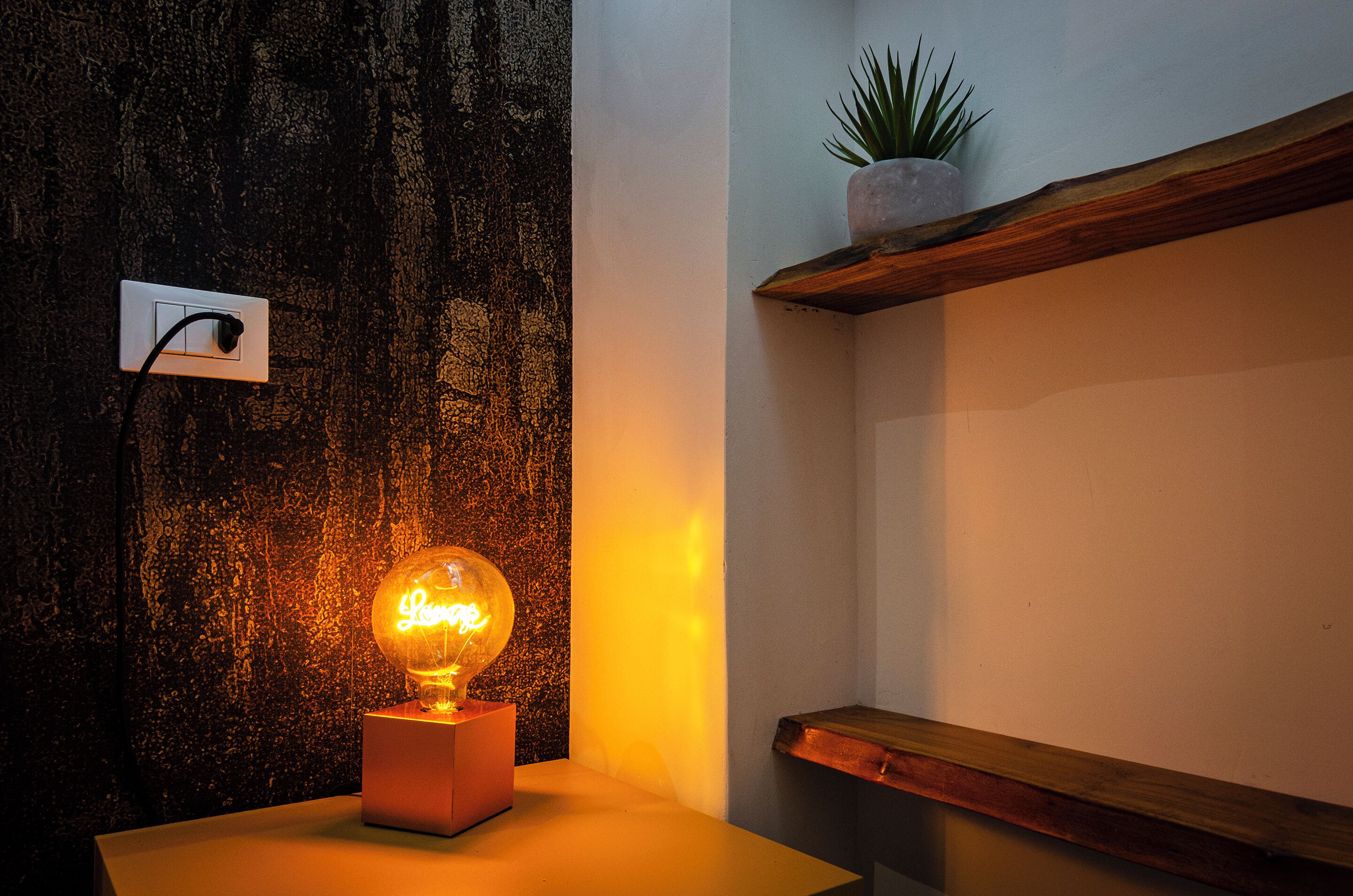 Una stanza con una parete strutturata, un neon, una pianta in vaso e uno scaffale in legno.