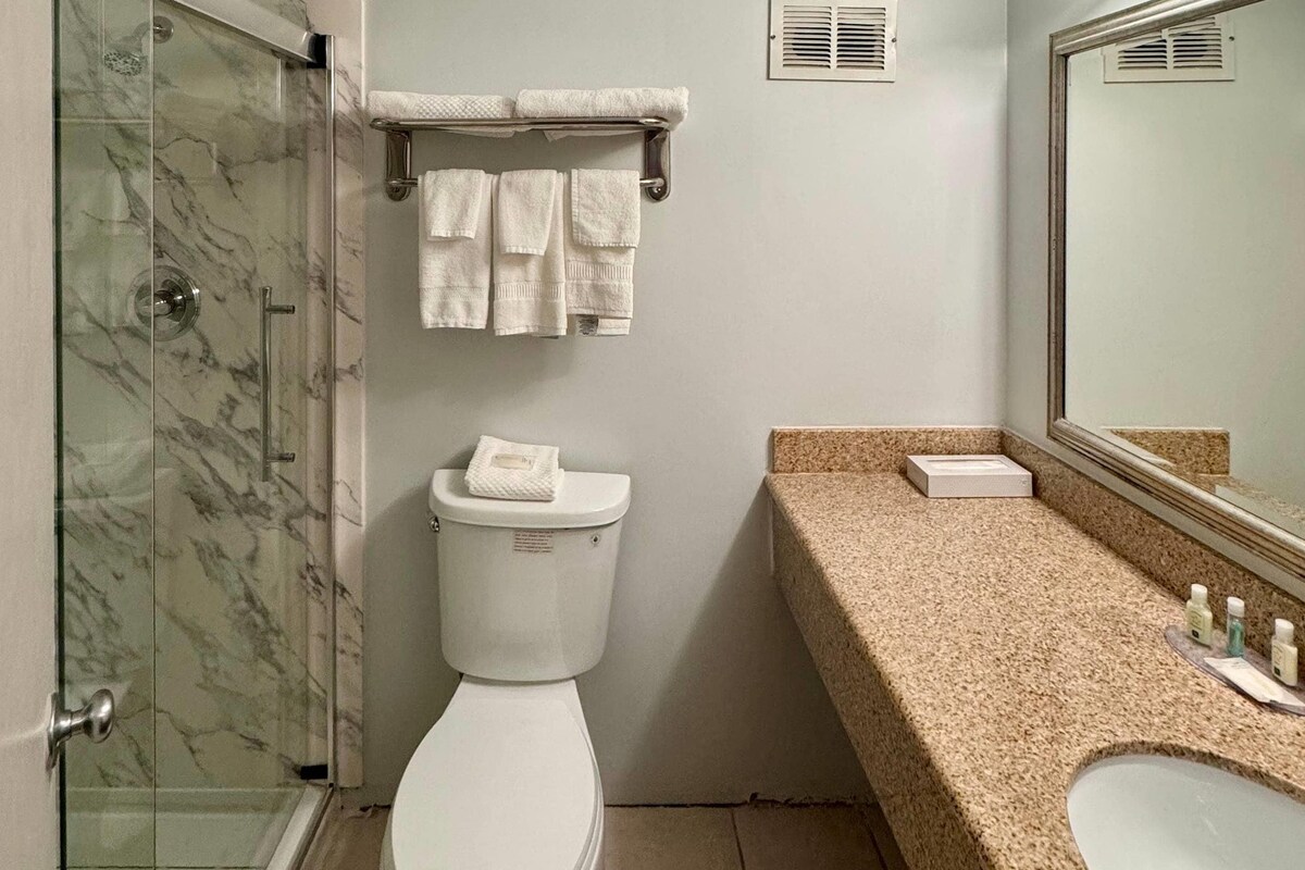 A bathroom with a glass shower enclosure, a toilet, a sink with a granite countertop, and a mirror.