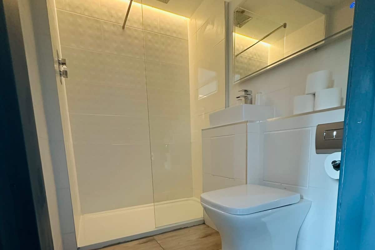 Une salle de bain avec une douche, des toilettes et un miroir au-dessus du lavabo.