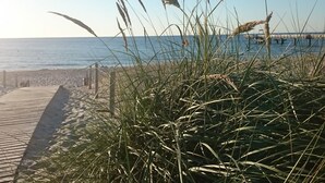 A beach with a wooden walkway leading to the water, surrounded by tall grasses. - Ferienhaus in Rerik in Ostseenähe (Rerik)