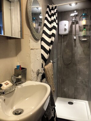Hair dryer, towels, soap, toilet paper