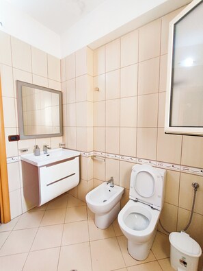 Shower, hair dryer, bidet, towels