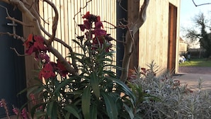 A potted plant with green leaves and red flowers in front of a wooden building. - to get together with family or friends and discover Normandy (Feuguerolles-Bully)