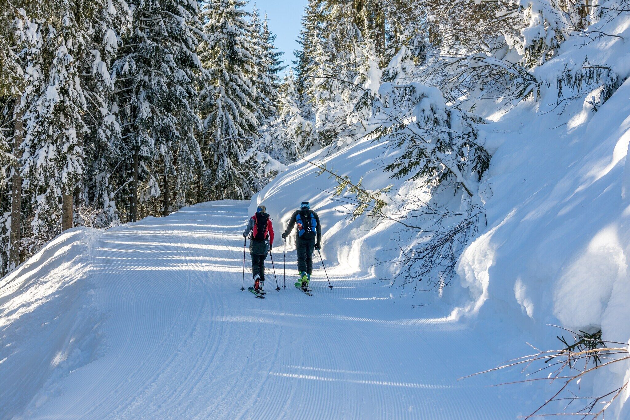Deux skieurs sur une piste enneigée, entourés d’arbres.