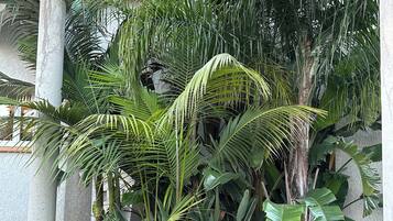 DĂ©tail de lâextĂ©rieur