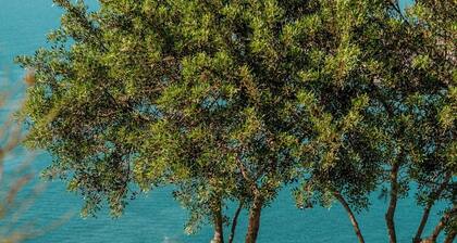 Faro Punta Imperatore