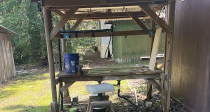 Hidden Gem of Toledo Bend!