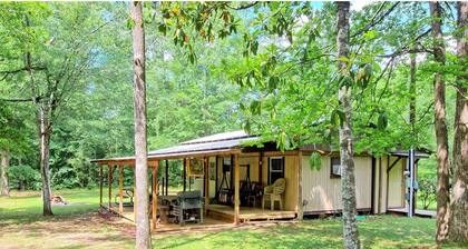 Hidden Gem of Toledo Bend!