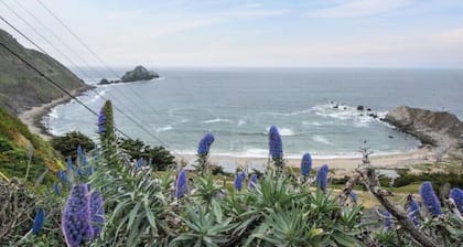 Stunning Ocean Mountain View Near SF/SFO/Beaches