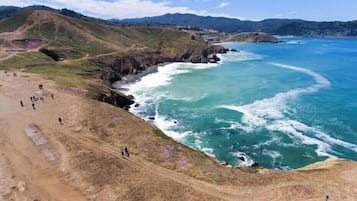 在海滩