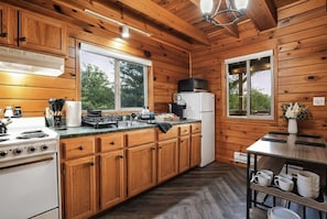 Une cuisine de style rustique, avec des murs en bois, un poêle, un réfrigérateur et de grandes fenêtres.