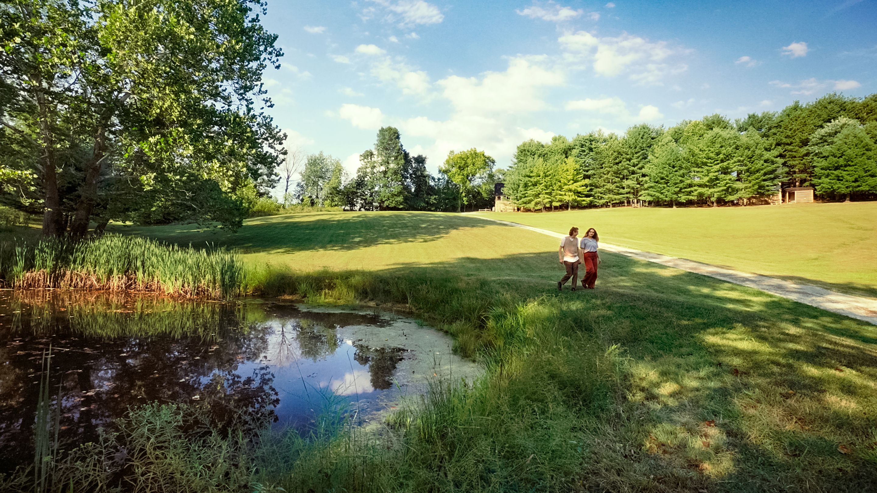 A grassy area with a pond, trees, and a clear sky.