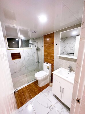 Hair dryer, towels, toilet paper