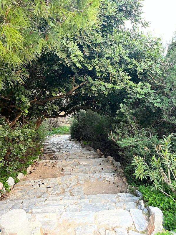 1 bedroom - Marikes Beach Apartment (Rafina-Pikermi)